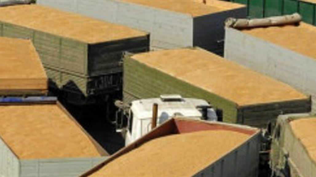 العراق يشتري 100 ألف طن من القمح الصلد من روسيا وكندا
