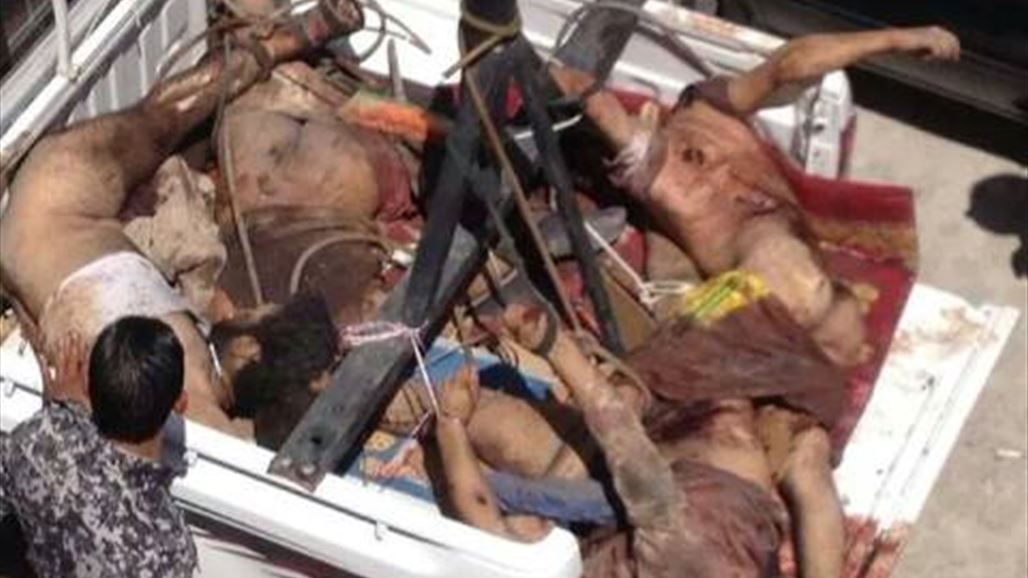 القوات الامنية وابناء العشائر يقتلون 12 داعشيا بينهم انتحاريان وآخرون "غير مسلمين" في الضلوعية