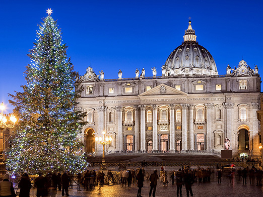 636167808420489184-3-%20vatican-christmas-tree-GettyImages-467286324.jpg