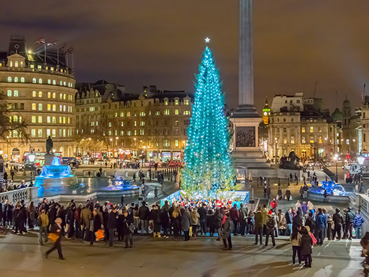 636167809589538196-6-%20london-trafalgar-square-tree-GettyImages-455065431.jpg