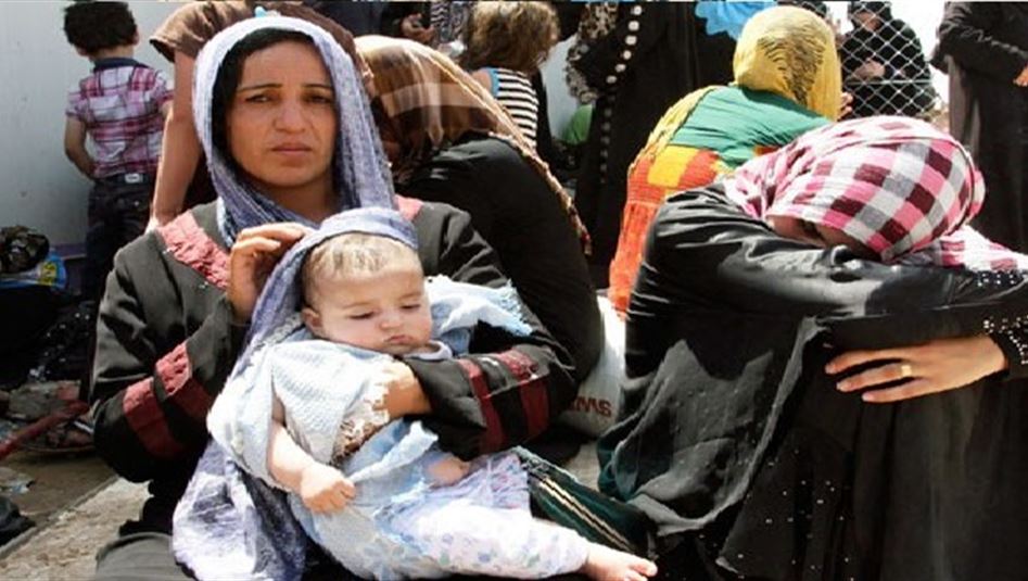 منظمة الهجرة: نازحو العراق تجاوز المليون و 750 ألف نازح   الشارع العراقي