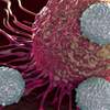 اكتشاف طريقة جديدة لمكافحة السرطان بالمضادات الحيوية 