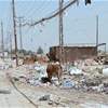 النفايات تنتشر على طرقات بغداد والمواطنون مستاؤون