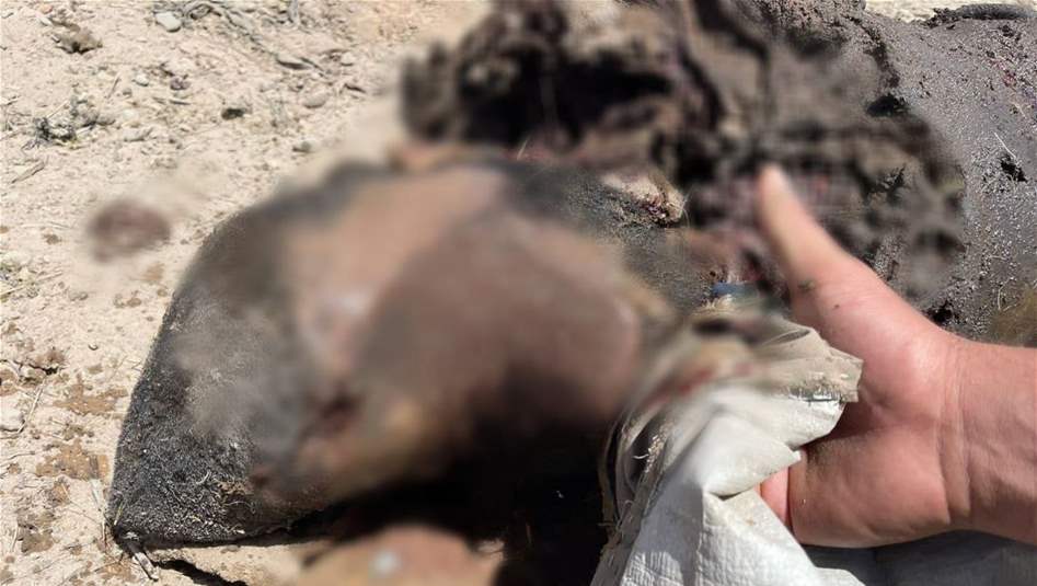 المشتركة تعلن قتل قياديين خطرين من داعش في ديالى