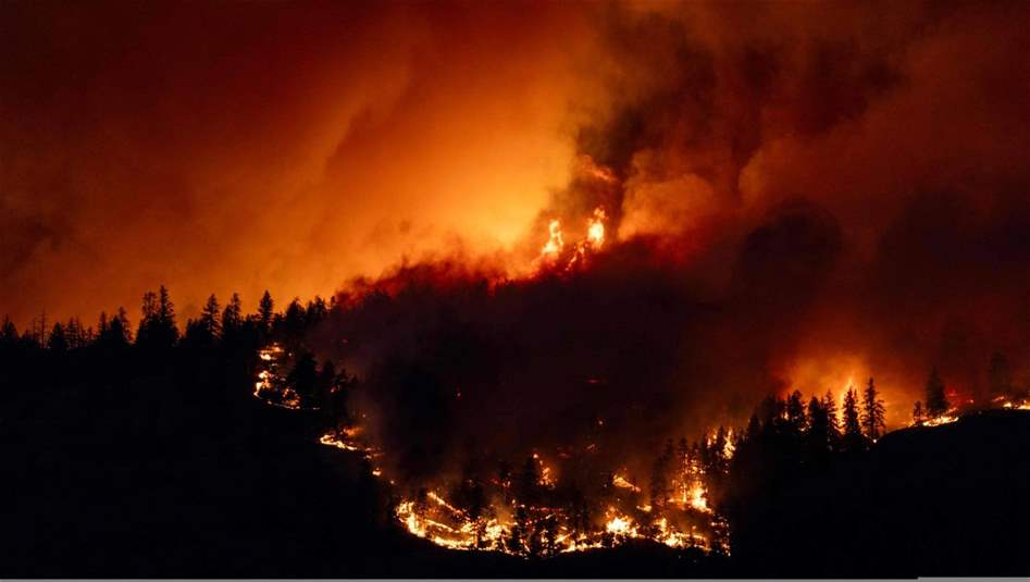 امتداد حريق الغابات يدفع السلطات اليابانية لإجلاء السكان 