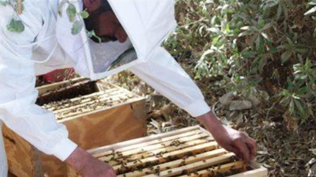 اتحاد الجمعيات الفلاحية يطالب الحكومة بمنح مربي النحل قروضاً ميسرة من دون فوائد