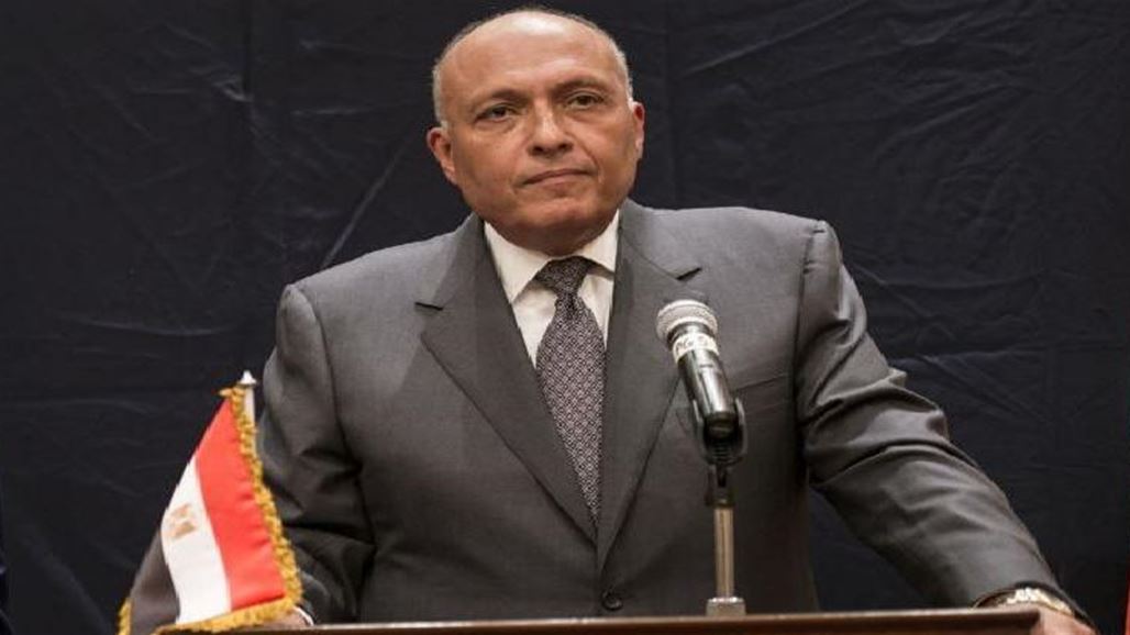 وزير الخارجية المصري يبحث مع منسق التحالف الدولي الجهود المبذولة لمواجهة "داعش"