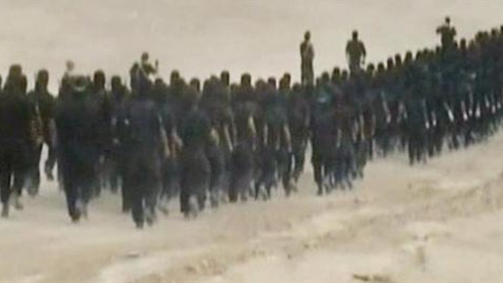 محافظ كركوك يكشف عن احتشاد مسلحي "داعش" في الحويجة لمهاجمة المحافظة