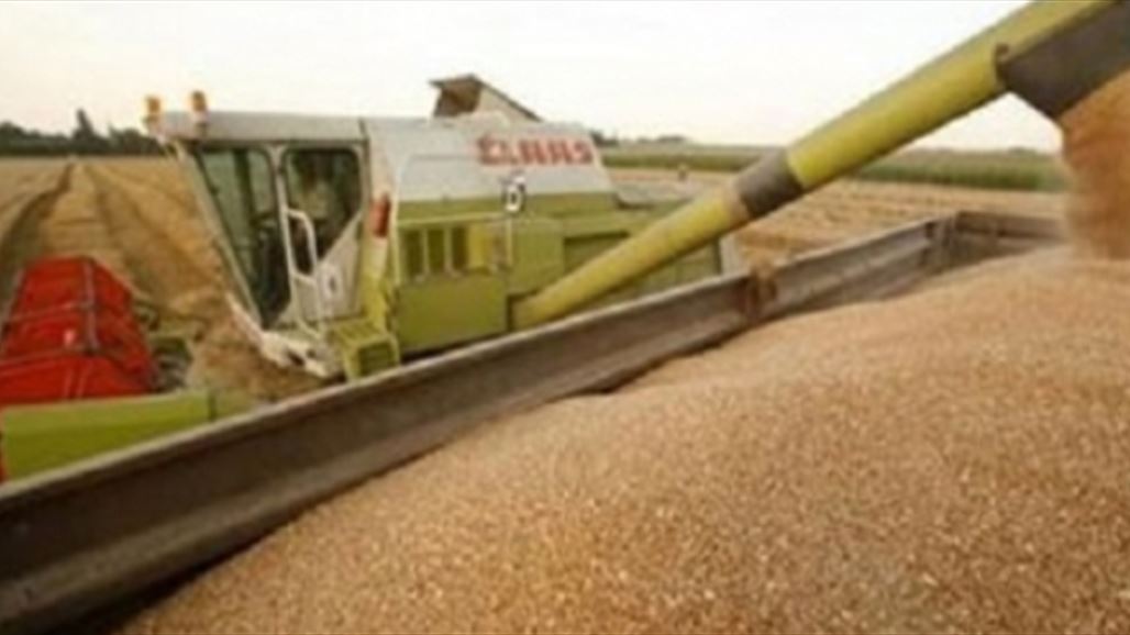 العراق يطرح مناقصة عالمية لشراء 50 ألف طن من القمح