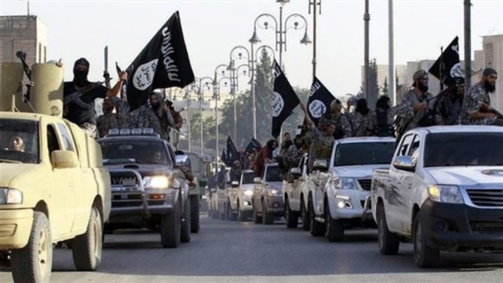 لجنة الاستخبارات في مجلس الشيوخ الأمريكي: مقاتلو داعش بين 30 و40 ألفا