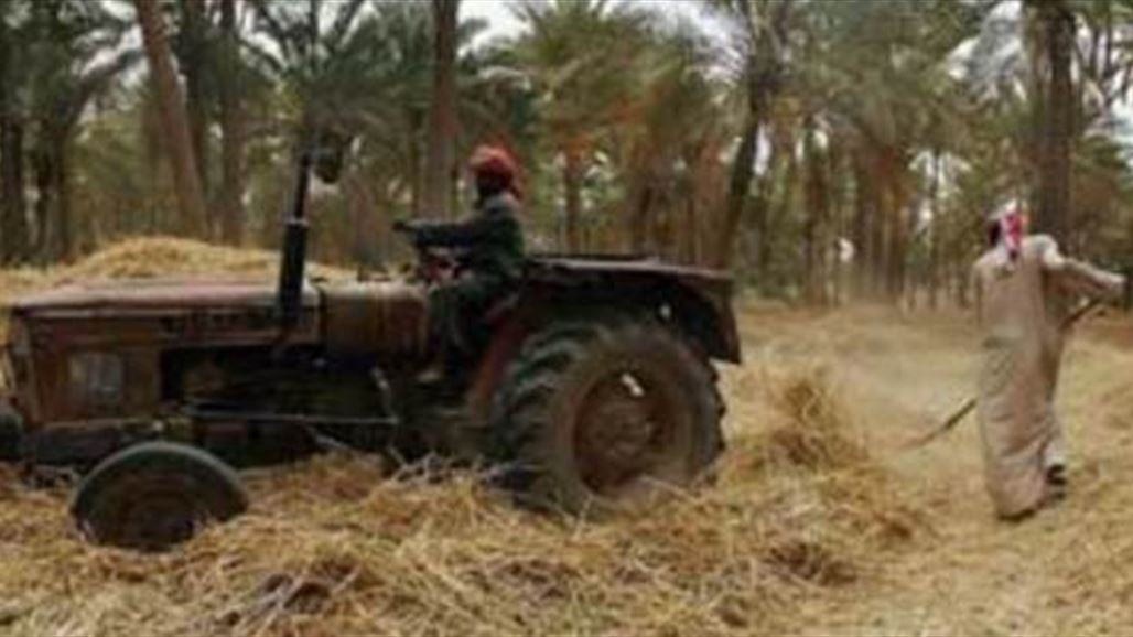 قائممقامية الخالص تقرر إلغاء عقود "مزارعي داعش" وتطالب بتعميم العقاب