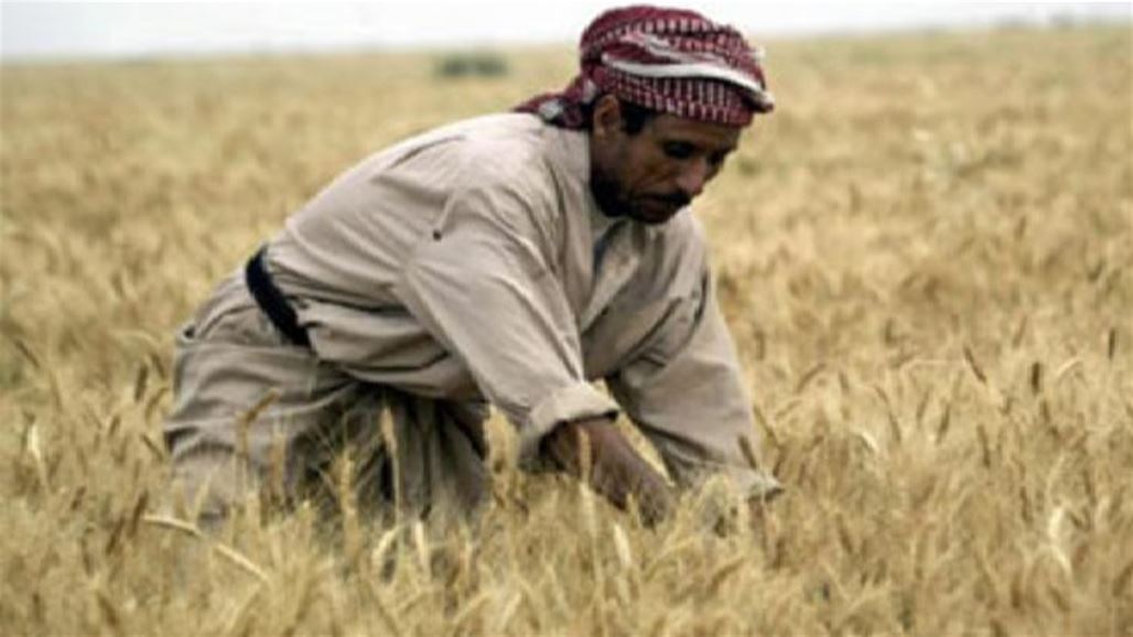 المقدادية: 70% من مزارعي القضاء عاطلون عن العمل بسبب تداعيات الأزمة الأمنية