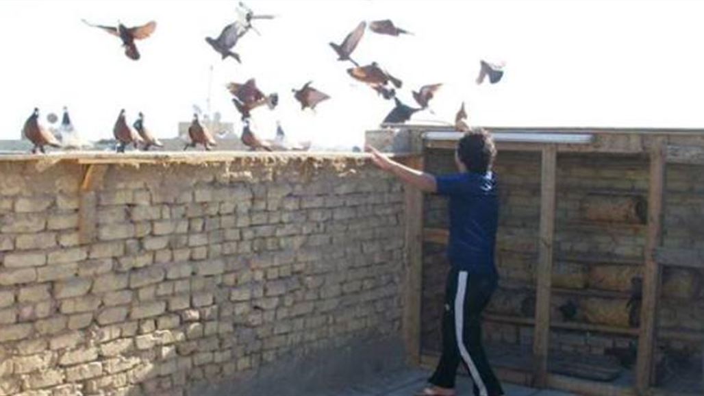 مصدر: داعش يحتجز 15 شاباً من هواة تربية الطيور شمال شرقي بعقوبة