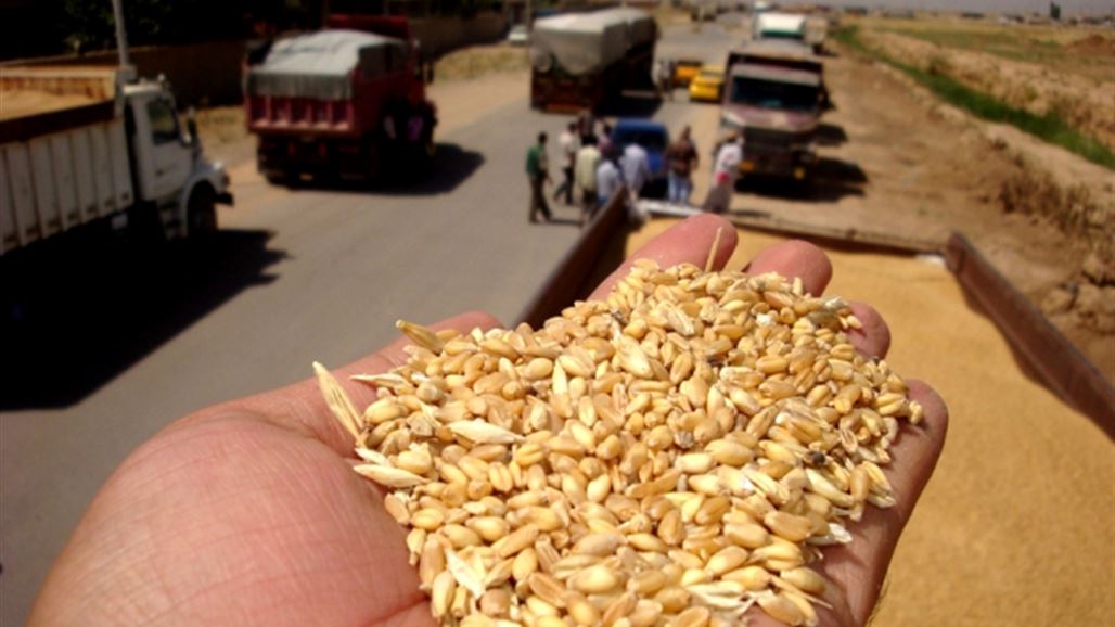 التجارة: لدينا خزين من الحنطة يصل لخمسة اشهر ونتوقع استلام ثلاثة ملايين طن
