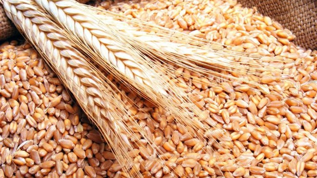 العراق يطرح مناقصة دولية لشراء نحو 50 ألف طن من القمح