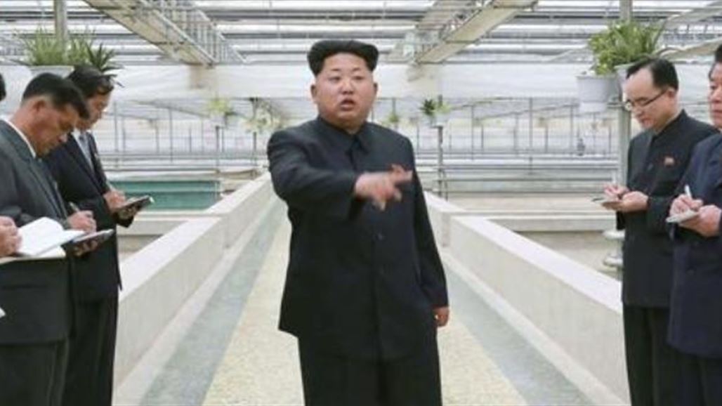 زعيم كوريا الشمالية يعدم موظفاً بسبب موت سلاحف يتولى رعايتها
