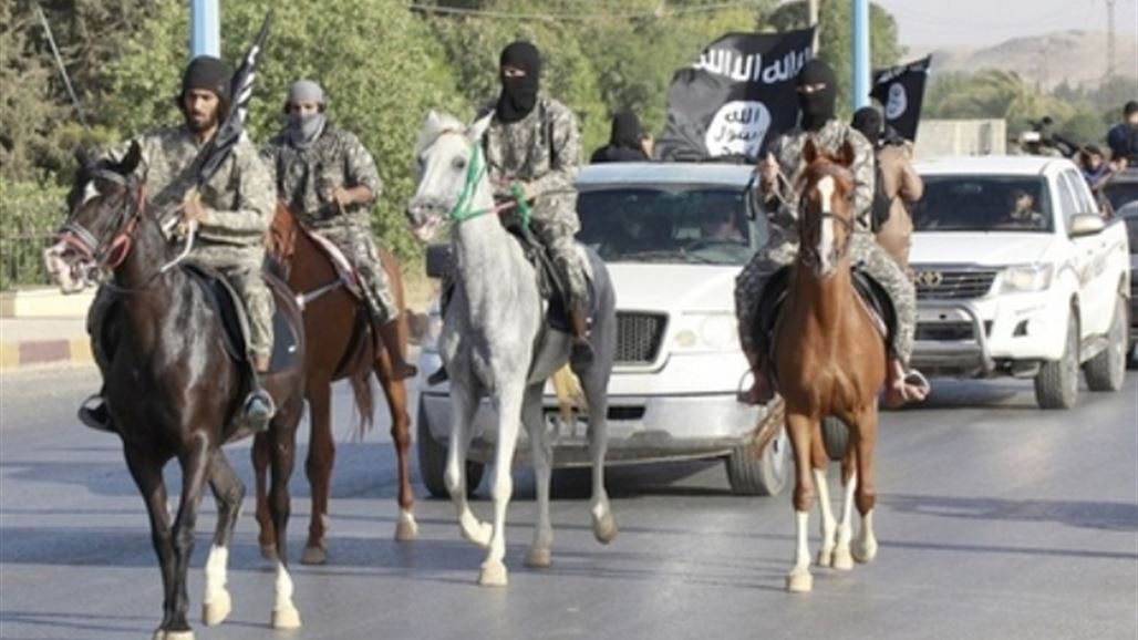 "داعش" ينهب ثلاثة خيول أصيلة شمال تكريت لبيعها لأجانب