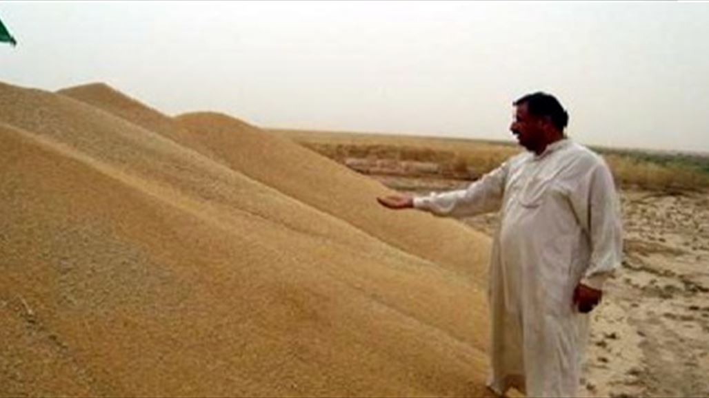 التجارة تطلق دفعة جديدة من مستحقات المزارعين المسوقين لمحصول الحنطة