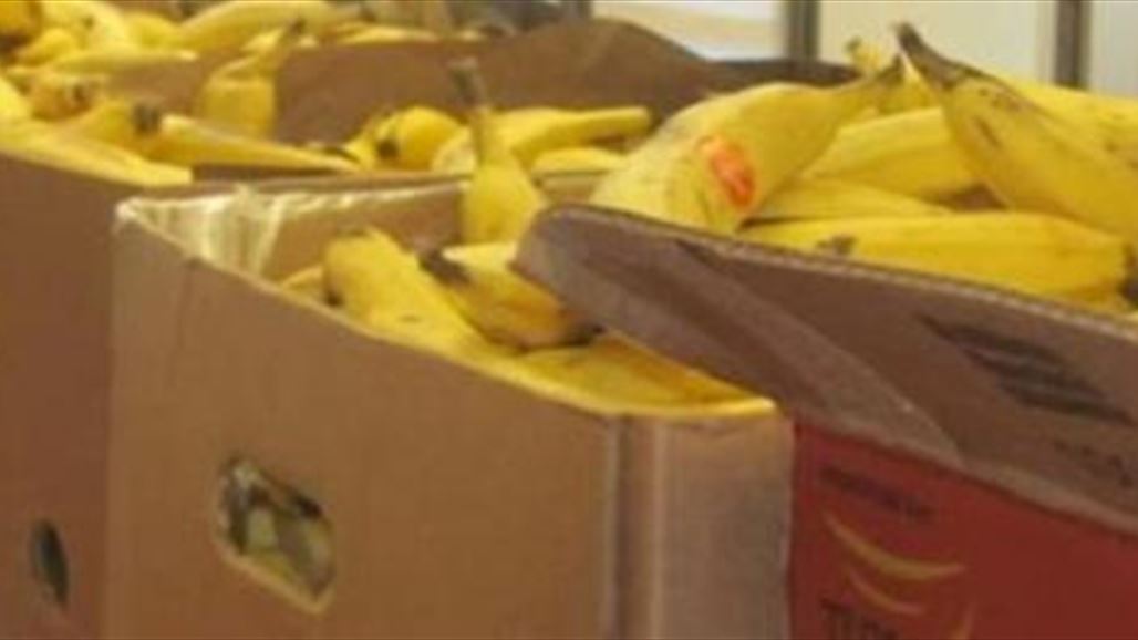 صحة كركوك تتلف ستة أطنان من الموز الفاسد "فيزياوياً"