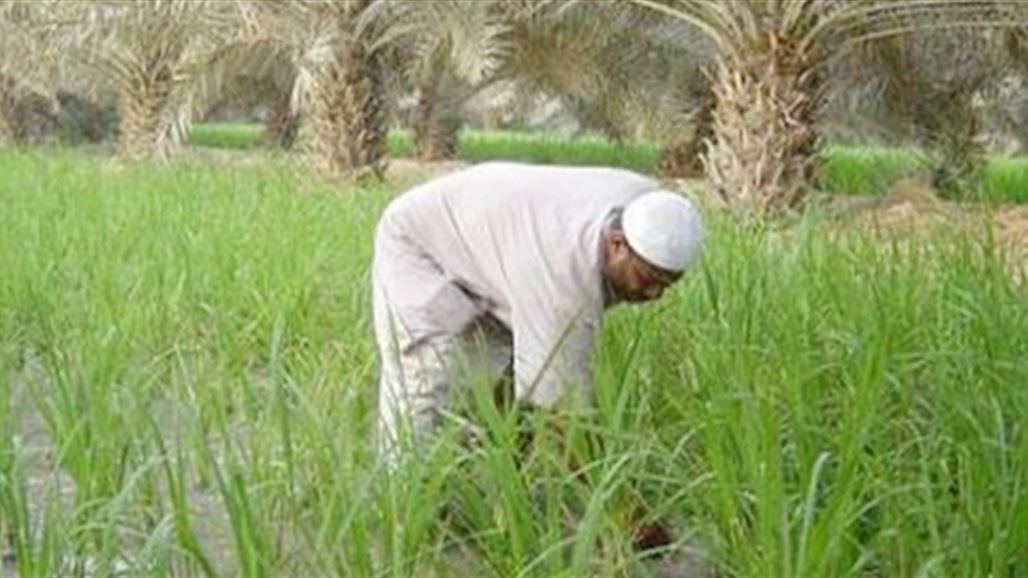 مجلس المقدادية يحذر من كارثة زراعية بسبب منع دخول الأسمدة الكيمياوية