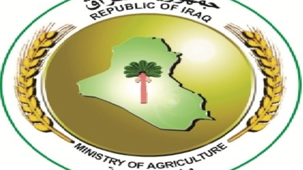 العراق يحظر استيراد الدواجن من إيطاليا وولاية ميزوري الامريكية