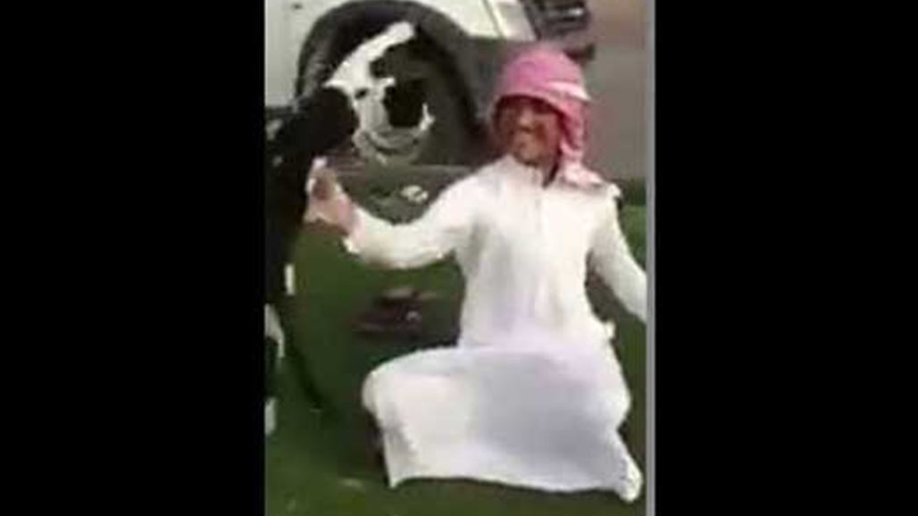 إلتقاط صور السيلفي مع القطط مُحرّم في السعودية
