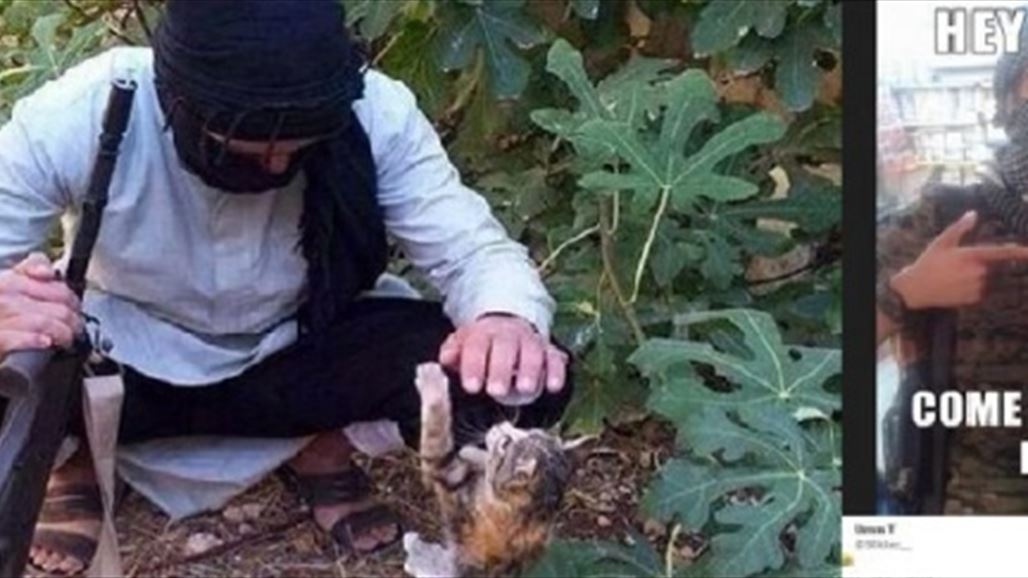 "داعش" يستخدم القطط والنوتيلا لاستقطاب المتطرفين