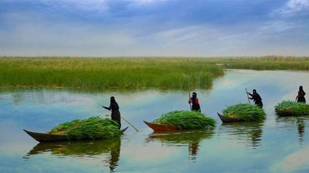 عضو بالزراعة النيابية: منتفذون حولوا مياه الاهوار الى بحيرات خاصة بهم