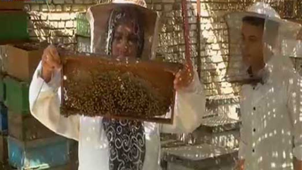 عراقية تدرّب تسعين مطلقة وأرملة على إنتاج العسل