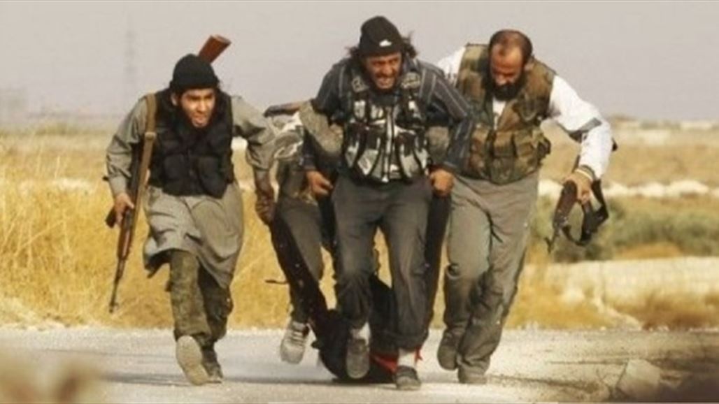 قصف جوي يستهدف عجلة لـ"داعش" في جزيرة هيت
