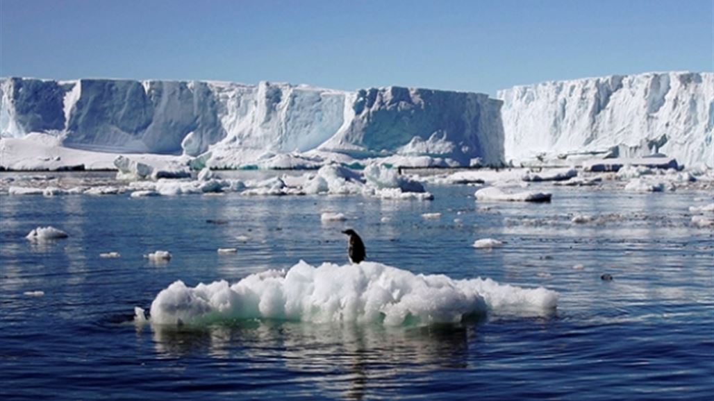 إقامة أكبر محمية بحرية في العالم في القطب الجنوبي