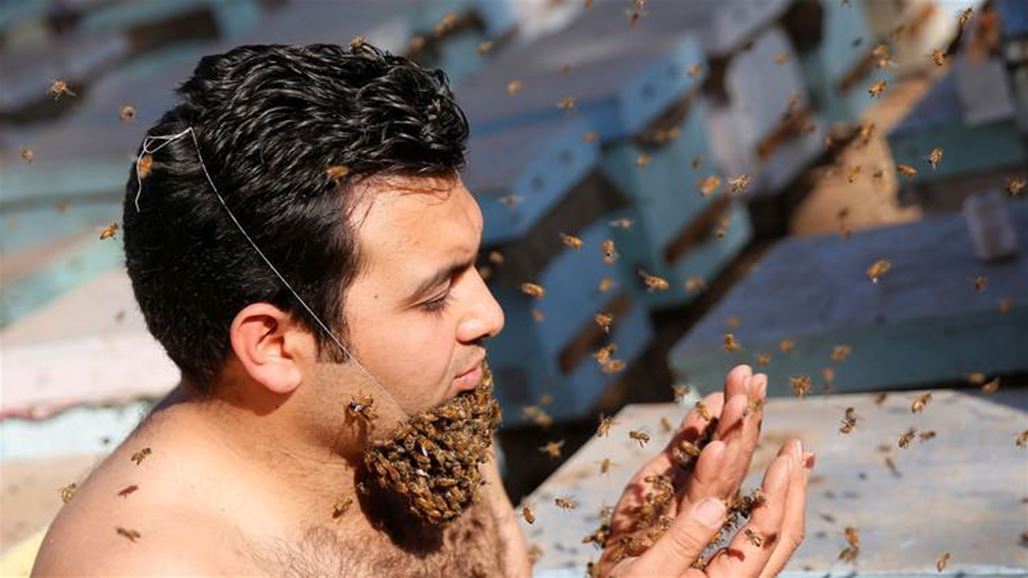 بالصّور: مصري يحقق شهرة عالمية بـ"لحية النحل"