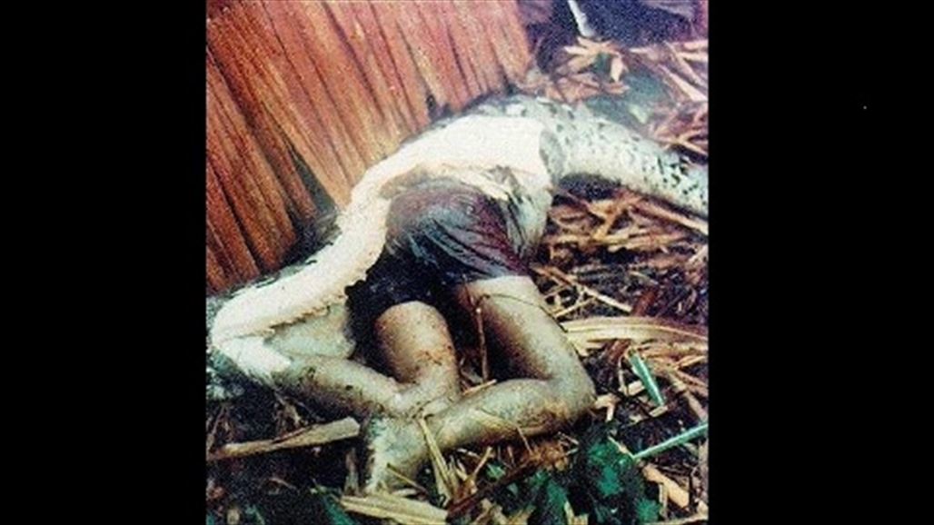 ثعبان ضخم يجهز على شاب ويبتلعه بالكامل في قرية اندونيسية