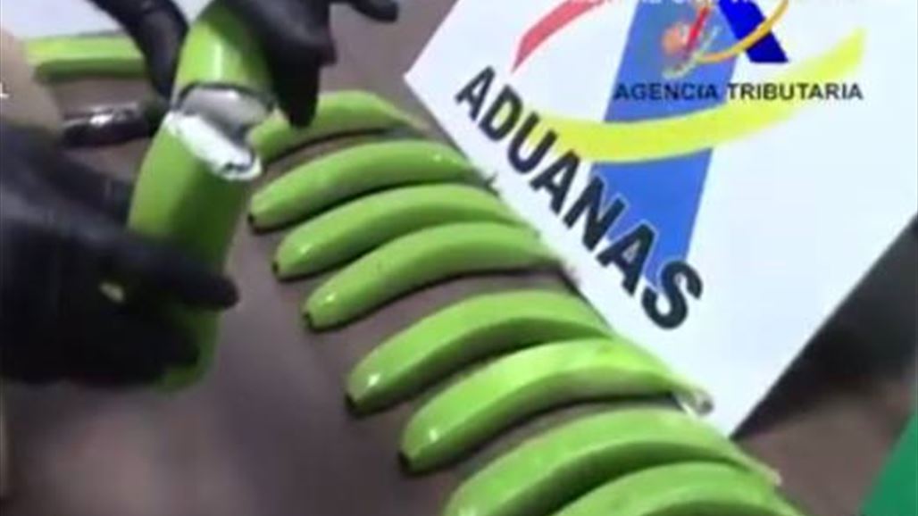 بالفيديو: ضبط 17 كلغ من الكوكايين مخبأة في الموز!