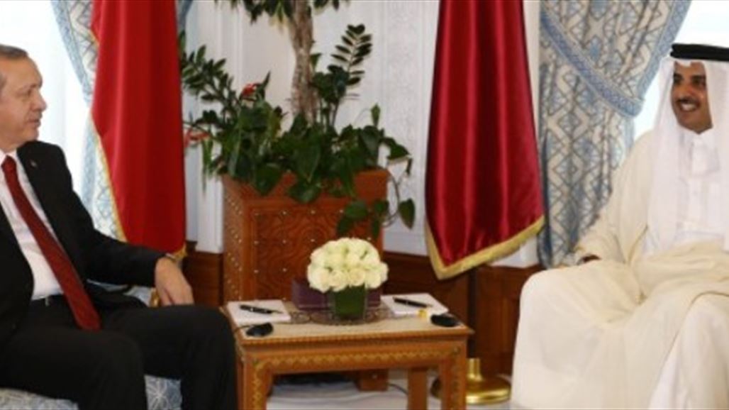 أردوغان وأمير قطر يبحثان قضايا إقليمية ودولية