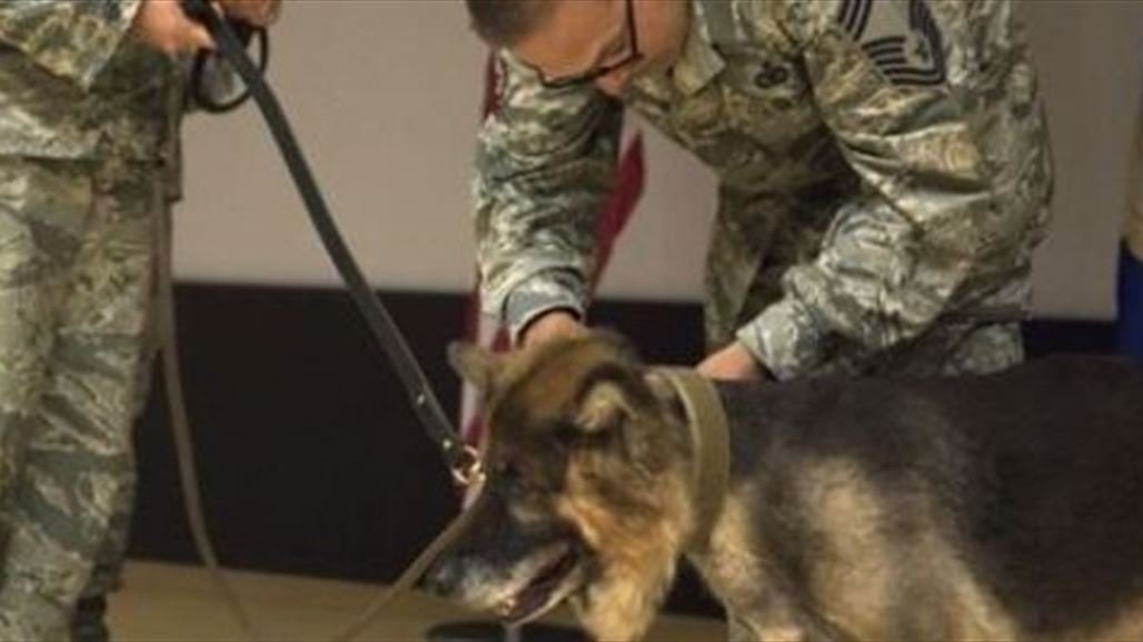 قاعدة إنجيرليك العسكرية تحتفل بتقاعد "كلب" خدم سلاح الجو الأميركي سبع سنوات