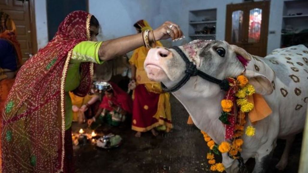 رئيس وزراء الهند يندد بـ"حماة الأبقار" ويدعو لوقف جرائمهم ضد المسلمين