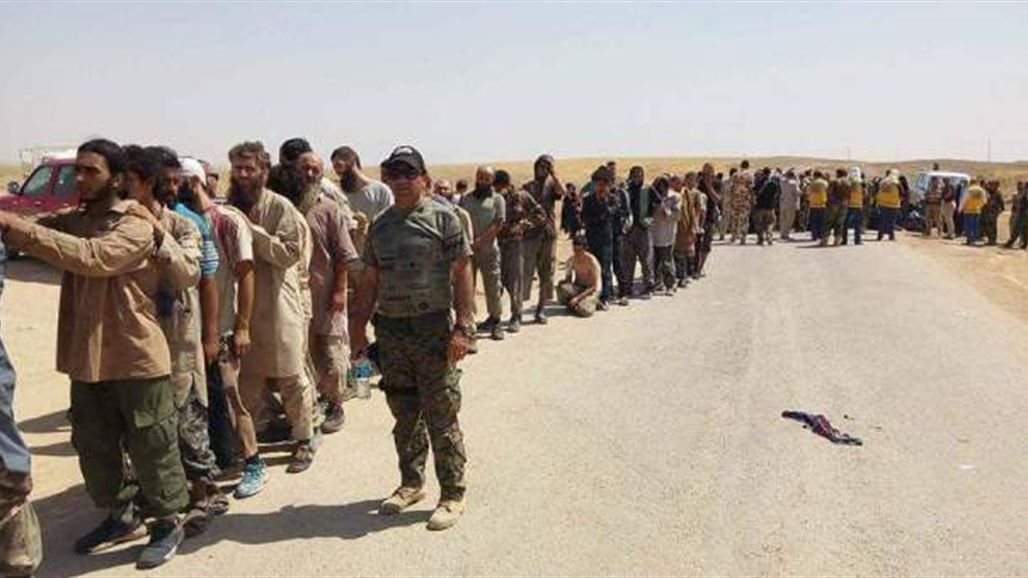 بالصور.. العشرات من مسلحي "داعش" يسلمون أنفسهم للبيشمركة قرب تلعفر