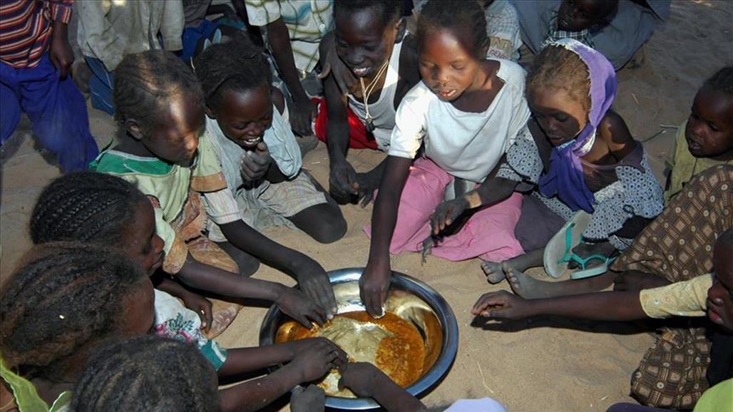الأمم المتحدة: أكثر من 800 مليون شخص يعانون الجوع بالعالم