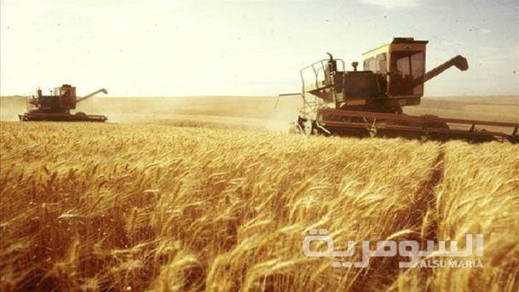 الزراعة تصادق على الخطة الزراعية لمحصول الحنطة في الأنبار