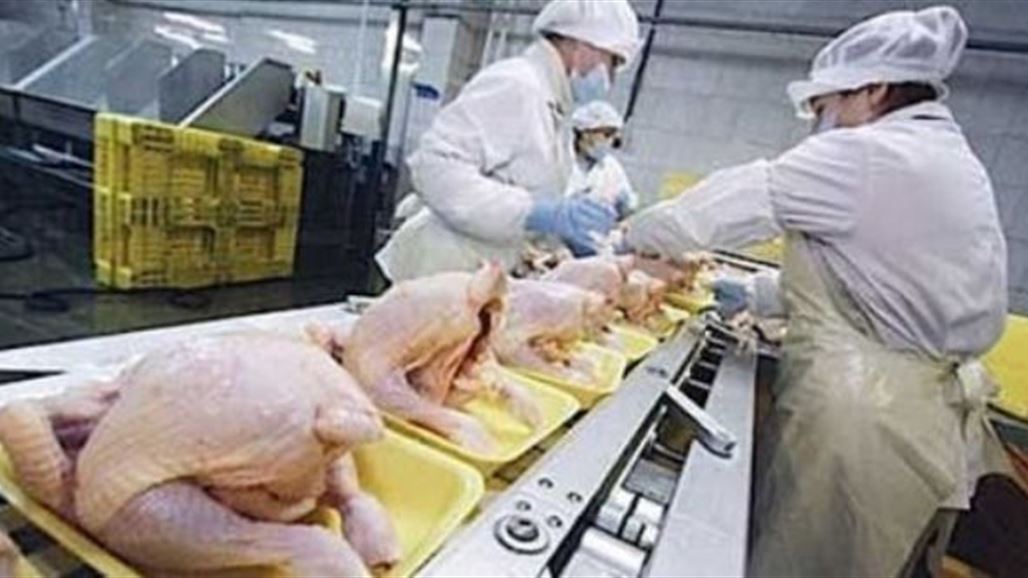 تركيا تعلن ارتفاع صادراتها من لحوم الدجاج الى العراق
