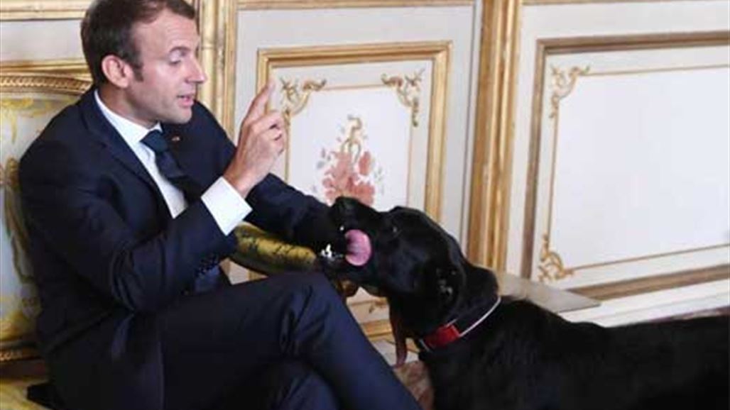 لن تصدقوا ما فعله كلب الرئيس الفرنسي أمام الحاضرين
