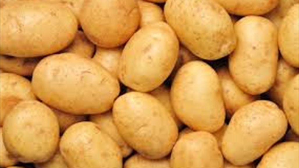 الزراعة تمنع استيراد البطاطا من الخارج