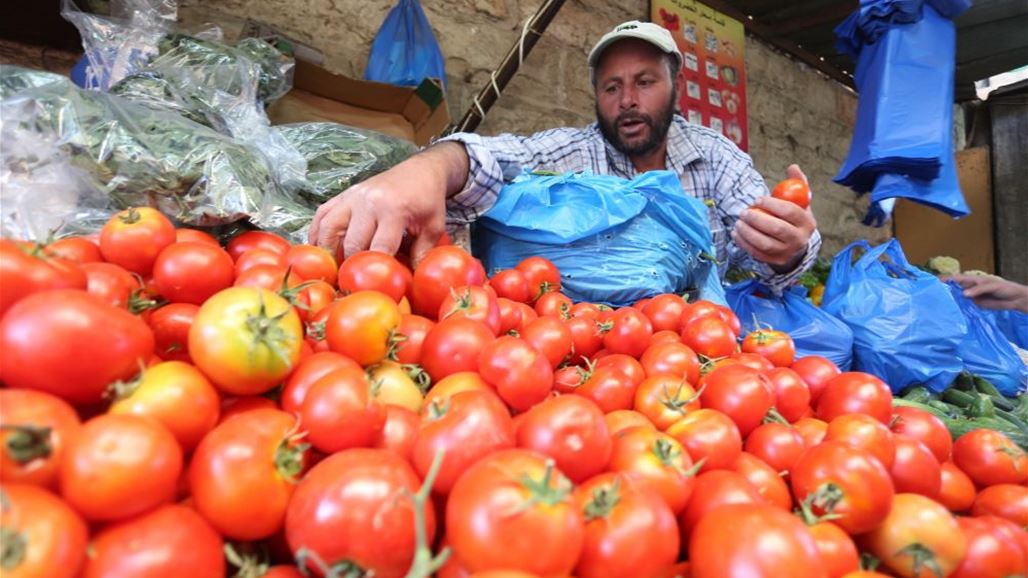 مزارعون بصريون يتظاهرون احتجاجا على ارتفاع أجور محال تسويق محصول الطماطم
