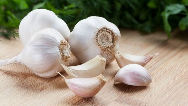 636874667234104412-garlic_620x350_71517566476