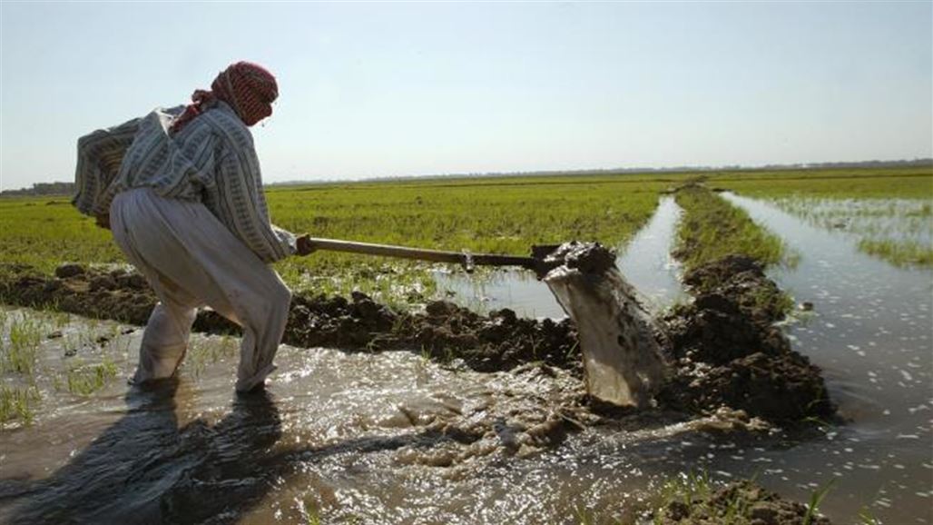 Iraq prohibits eight crops from summer because of the water crisis NB-239573-636648431519265316