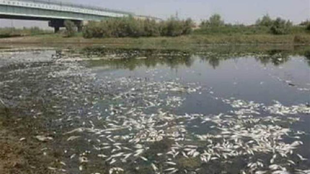 State of law warns of hidden hands trying to target the fisheries in Iraq