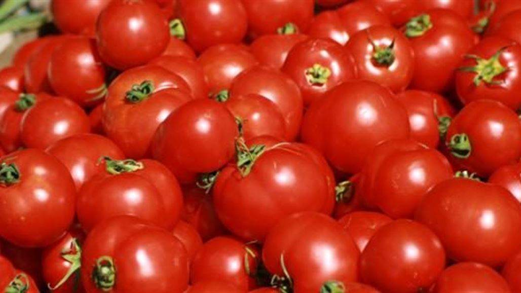 الزراعة تمنع أستيراد محصول الطماطم