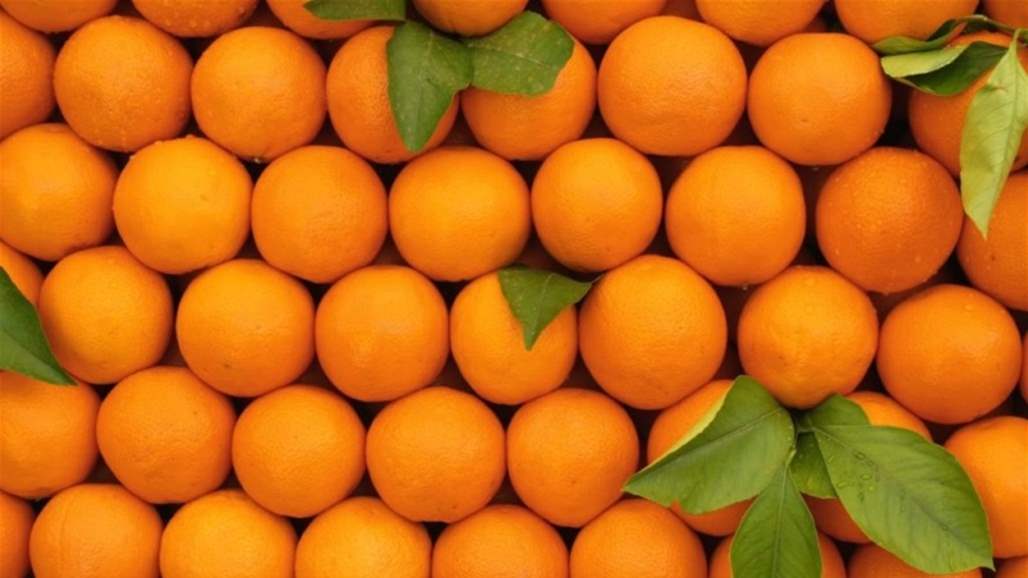 الزراعة تعلن السماح باستيراد  البرتقال لقلة انتاجه محلياً