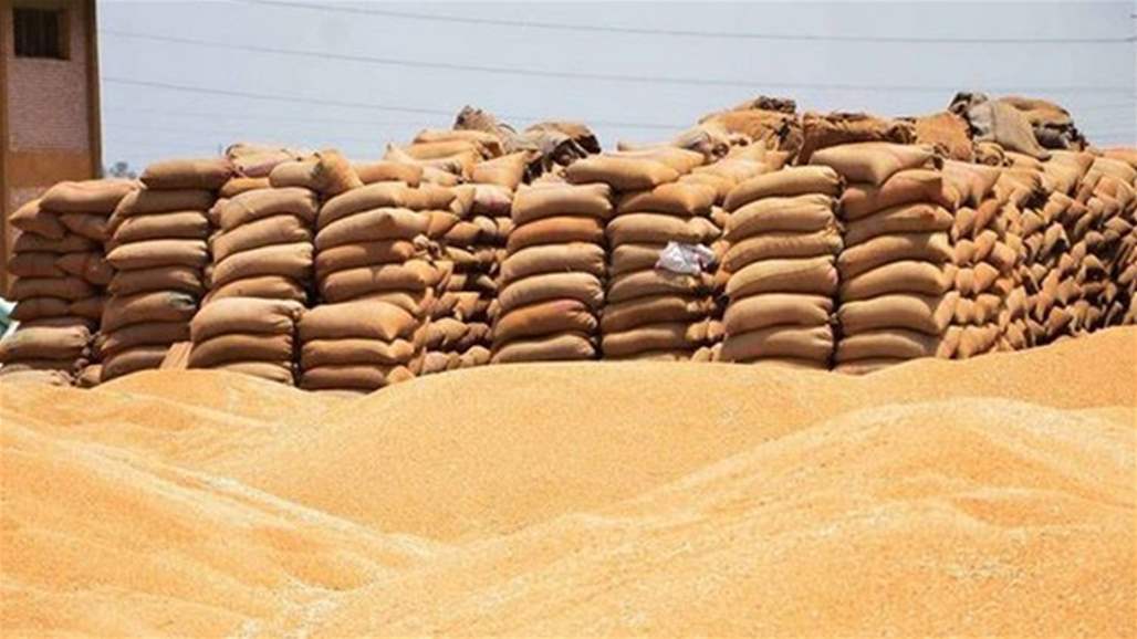  التجارة تعلن شراء اكثر من 883 ألف طن من القمح المحلي